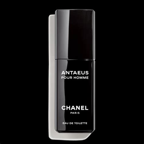 chanel antaeus 100 ml eau de parfum|Chanel antaeus alternative.